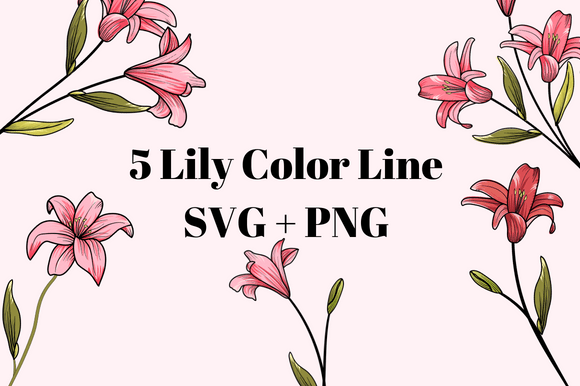 Line Color Lily: A Modern Floral Design Asset for Wedding Decoration