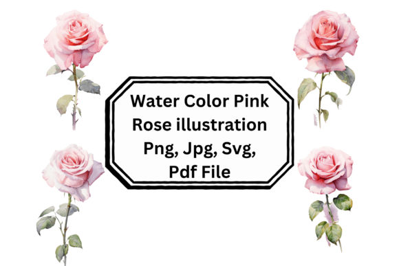 The Enduring Appeal of a Water Color Pink Rose Illustration